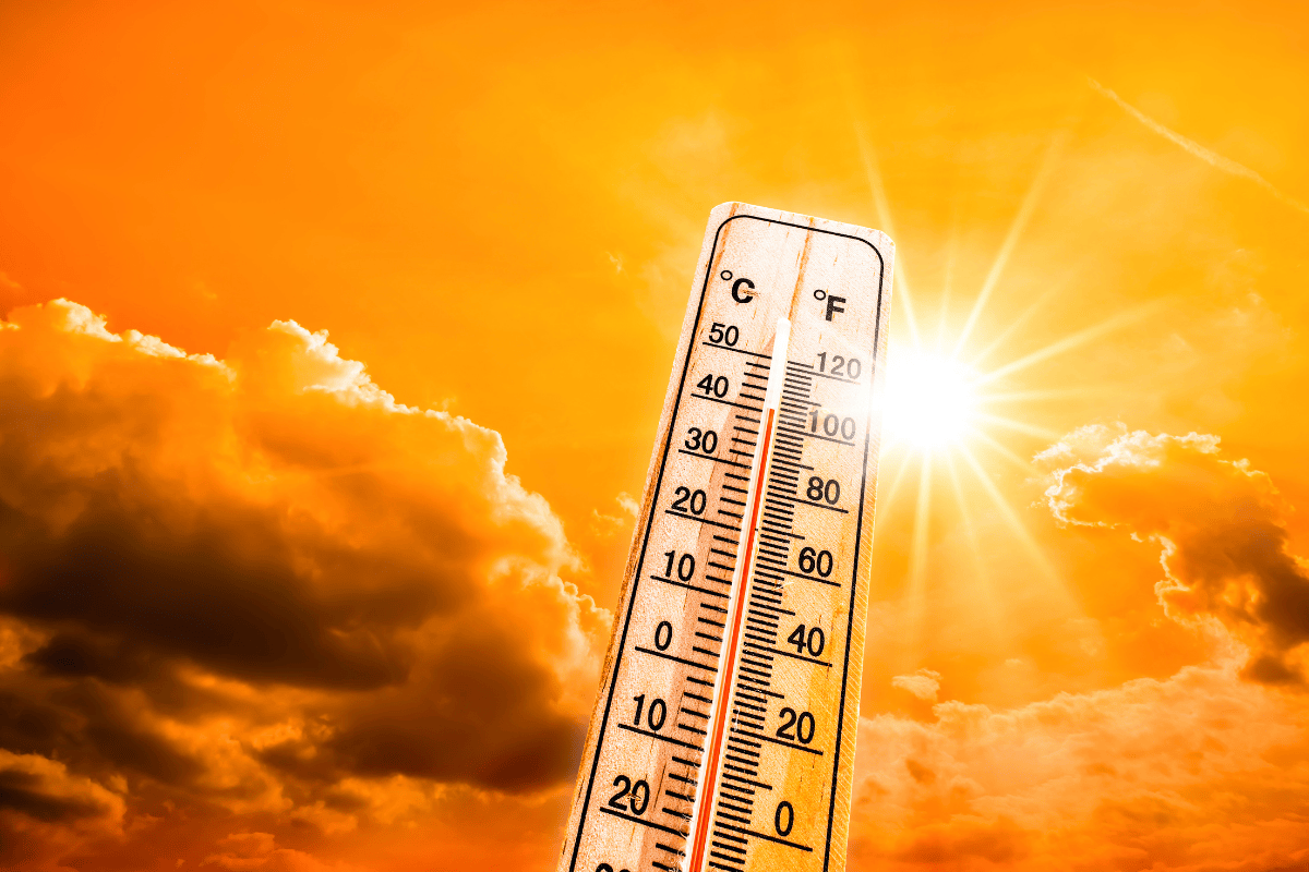 Heatwave in 9 states including UP MP red alert in Rajasthan Haryana